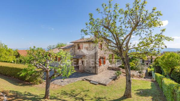 Villa plurifamiliare, Sarteano