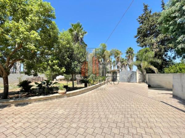 Villa, Melissano — foto 4 di 5