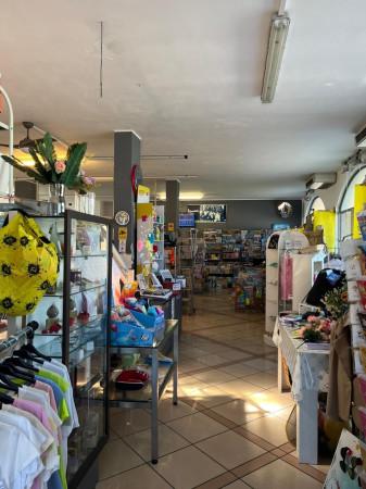 Terratetto plurifamiliare in Via Dante Alighieri 54, Tavazzano con Villavesco
