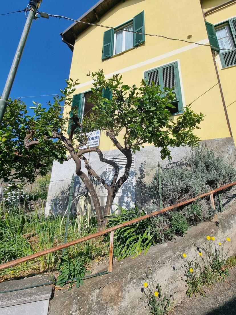 Villa a schiera in Via Poggio Ponente 5, Vallecrosia — foto 4 di 5