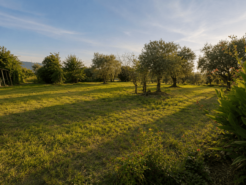 Villa bifamiliare in Via Palvotrisia 65, Castelnuovo Magra — foto 4 di 5