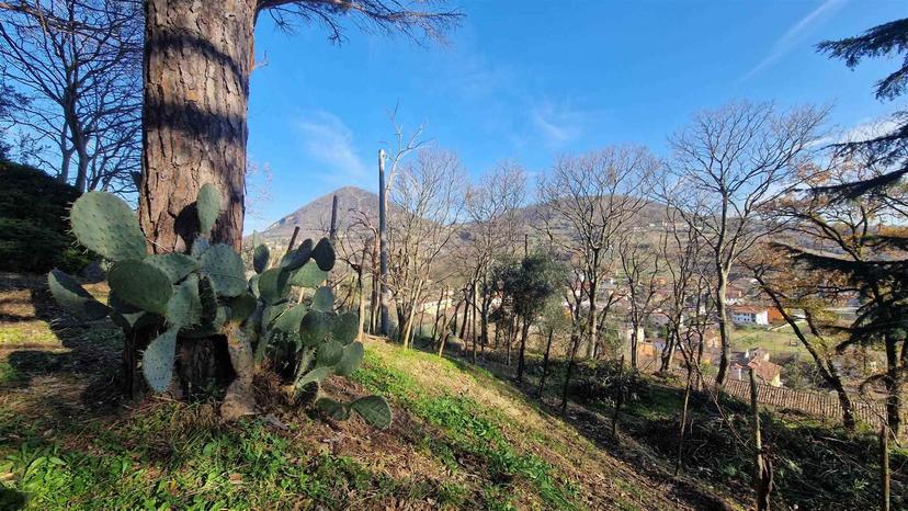 Rustico in Via Lavello, Cinto Euganeo — foto 3 di 5