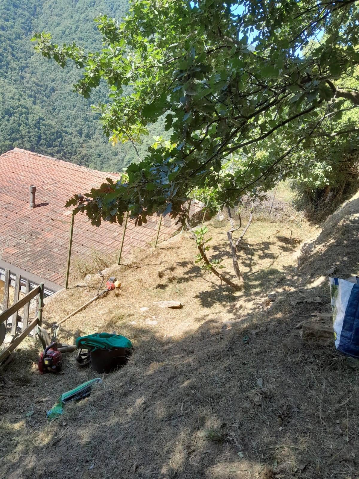 Casa indipendente, Bargagli