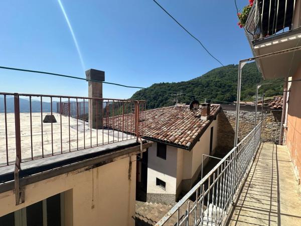 Quadrilocale, Colzate — foto 3 di 5