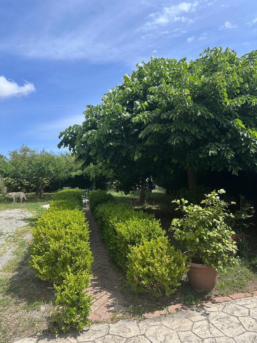 Villa in Via Alessi di Turio, Catanzaro — foto 5 di 5