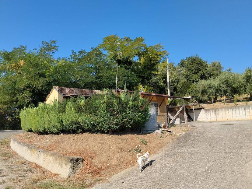 Casa indipendente in Contrada Quarticelli 4, Torino di Sangro — foto 3 di 5