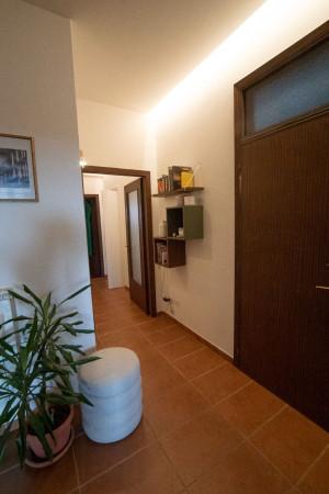 Quadrilocale in Via Trieste, Montespertoli — foto 4 di 5
