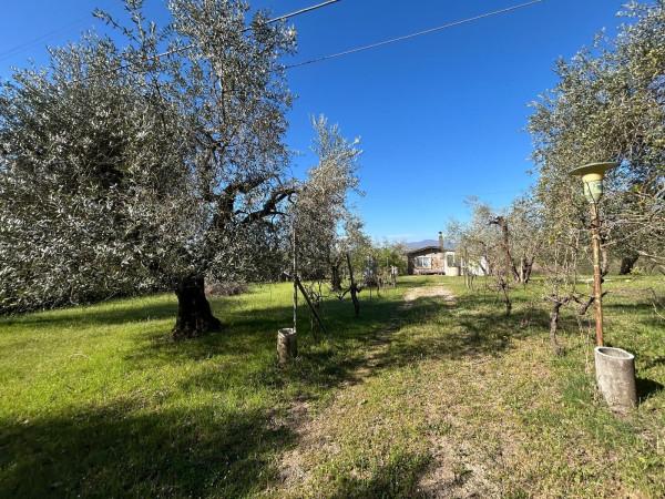 Rustico in Strada Provinciale Ortana, Bassano in Teverina — foto 2 di 5