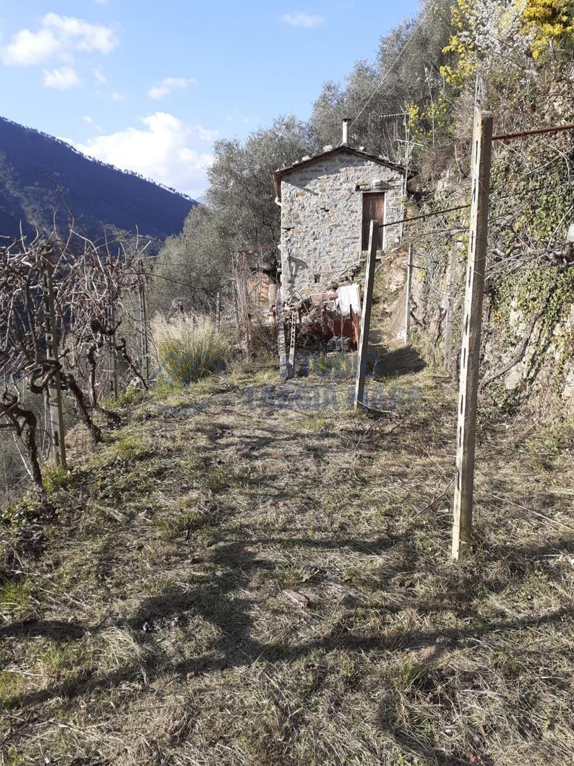 Rustico in Regione Ortai, Badalucco — foto 3 di 5