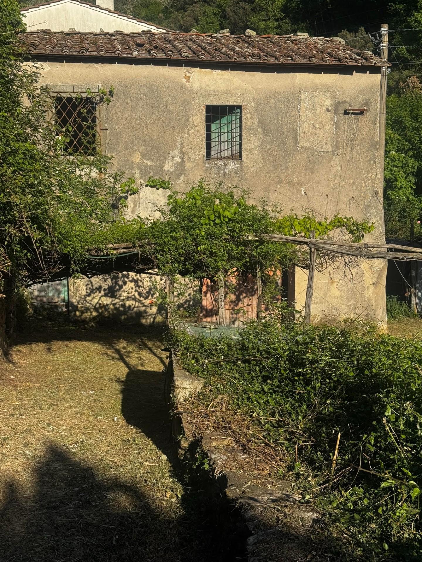 Casa indipendente, Calci