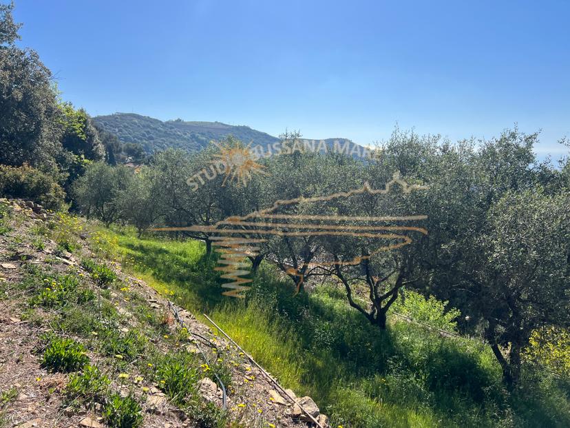 Casa indipendente in Strada Collette Beulle 125, Sanremo — foto 3 di 5