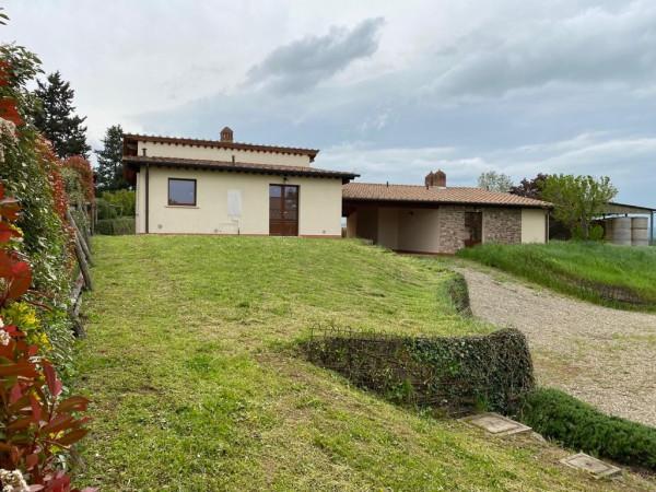 Villa bifamiliare in Strada Provinciale del Monte Amiata, Pienza — foto 5 di 5