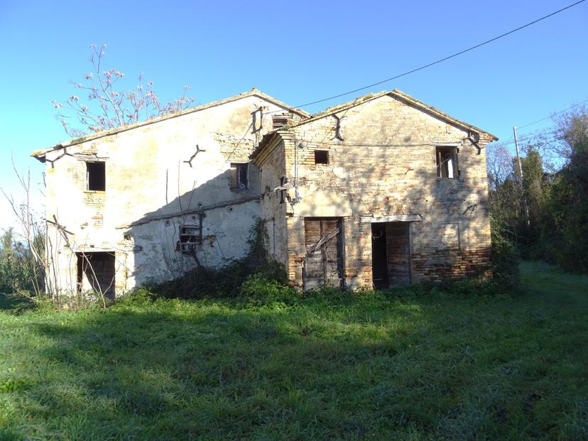 Rustico, Senigallia — foto 3 di 5
