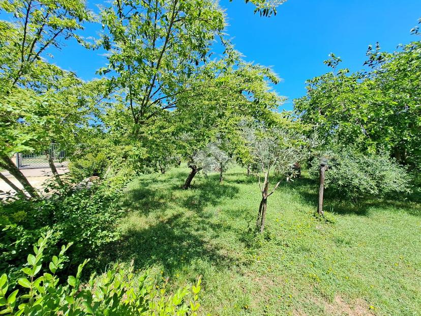 Villa in Localita' Vado Falcone, Fabrica di Roma — foto 2 di 5