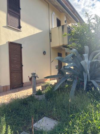 Trilocale in Via Arturo Toscanini, Bagnacavallo — foto 3 di 5