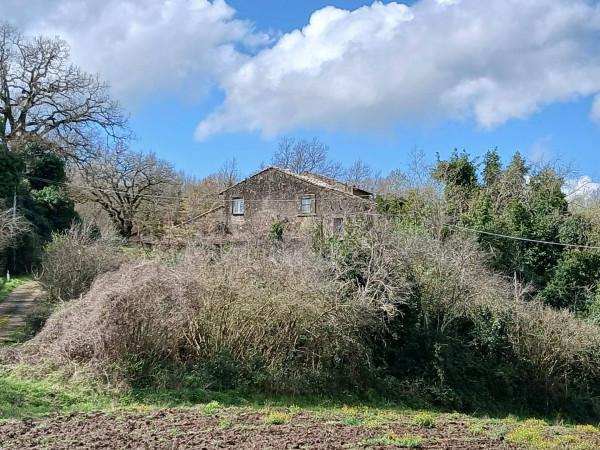Casale in Strada Provinciale Mazzocchio, Vetralla