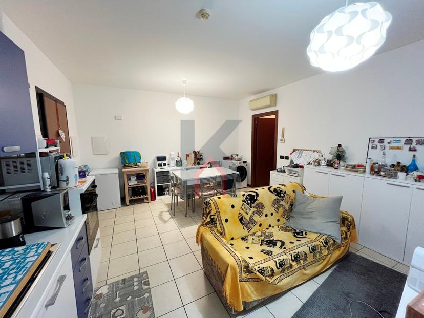 Bilocale, Forlì — foto 5 di 5