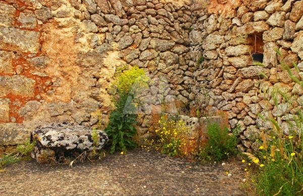 Terratetto unifamiliare in Strada Comunale Matine I, Specchia