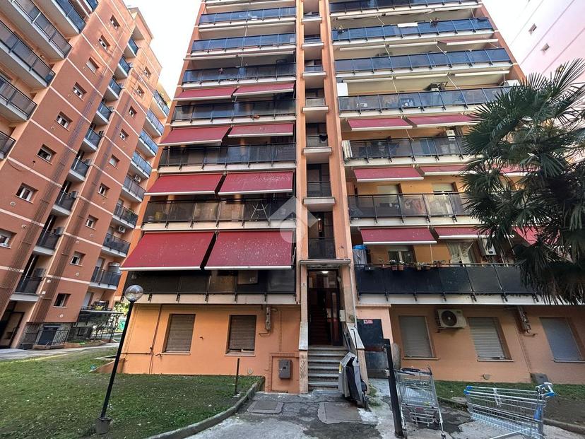Bilocale in Via Domenico Cimarosa 1, Pioltello