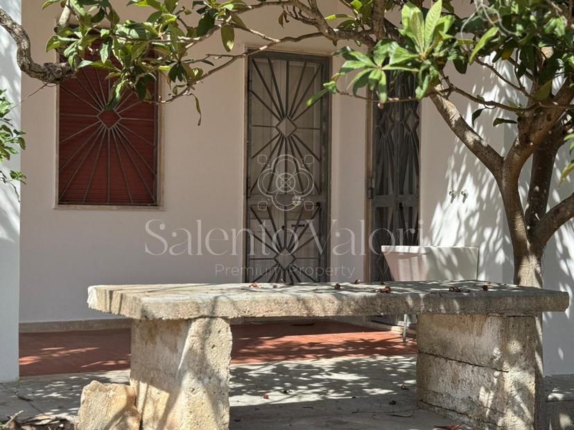 Casa indipendente in Strada Vicinale Contrada Camine 13, Matino — foto 4 di 5