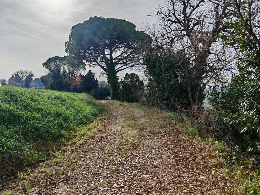 Rustico in Contrada Castelnuovo 114, Recanati — foto 3 di 5