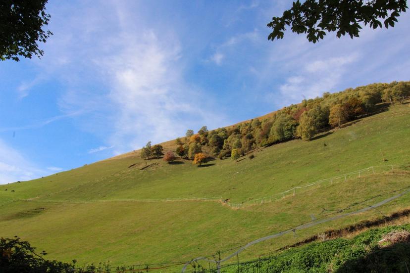 Rustico in Località Ermogna  Snc, Cerano d'Intelvi — foto 2 di 3