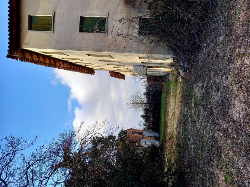 Rustico, Oderzo — foto 5 di 5