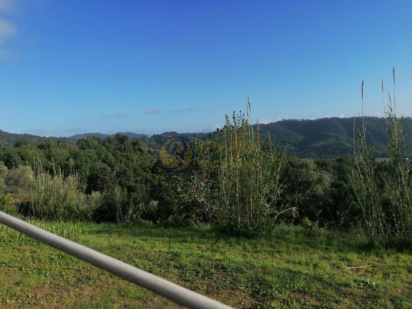 Rustico, Camaiore — foto 3 di 5