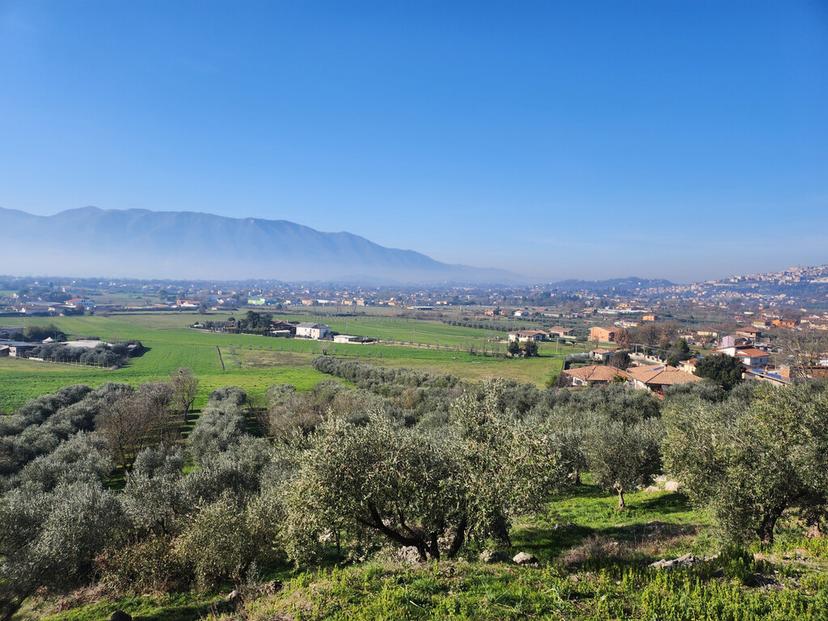 Casa indipendente in Via Costantino Caminada 66, Ferentino — foto 3 di 5