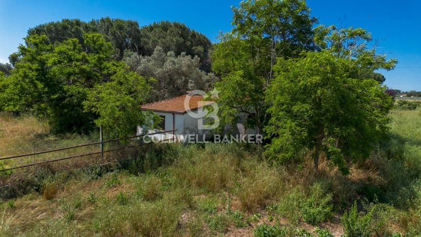 Villa in Località Campomorto, Montalto di Castro — foto 5 di 5