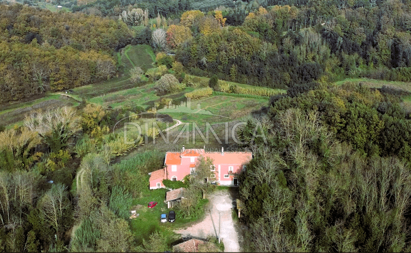 Casa colonica, Fauglia — foto 4 di 5