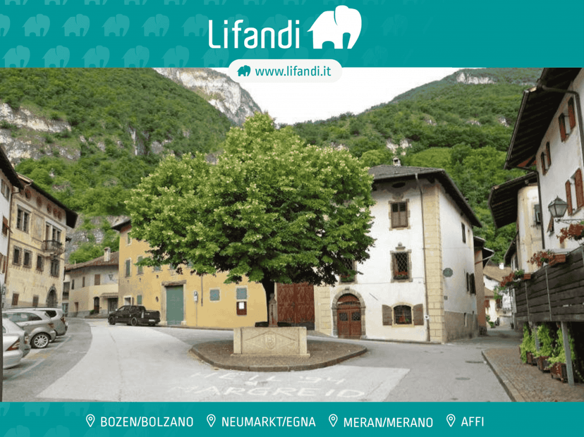 Trilocale, Magrè sulla strada del vino — foto 3 di 5