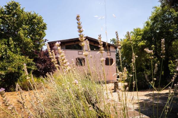 Casale, Viterbo — foto 4 di 5