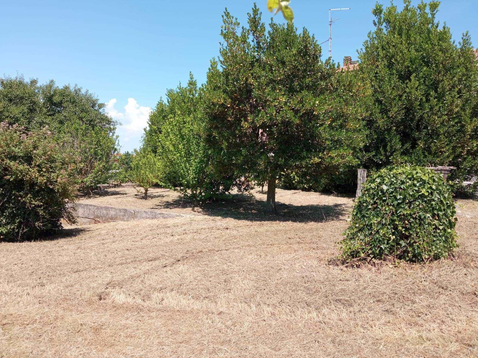 Villa bifamiliare, Vetralla