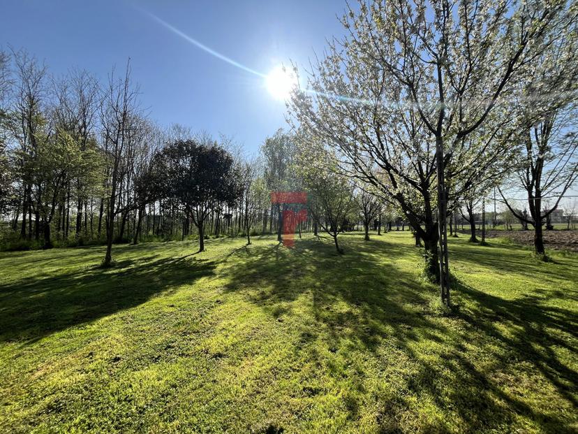 Casa indipendente in Via Monte Grappa, Limena — foto 4 di 5