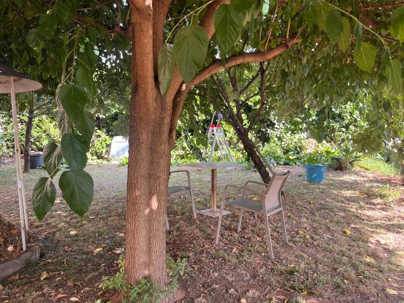 Casa indipendente, Seravezza — foto 3 di 5