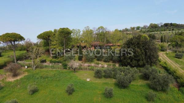 Villa in Via Poggiomarino, Rimini