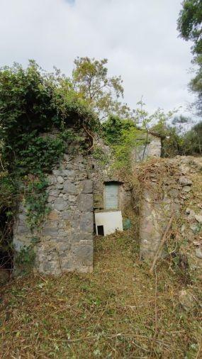 Rustico, Lerici — foto 5 di 5