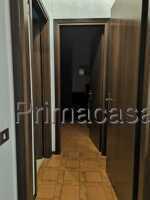 Monolocale, Carpi