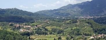 Quadrilocale, Massarosa — foto 3 di 3