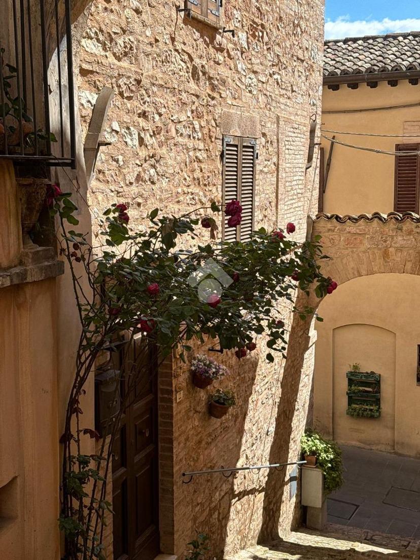 Casa indipendente in Via Giulia, Spello — foto 4 di 5