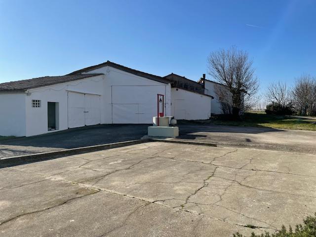 Casa indipendente in Via Roma, Codevigo — foto 4 di 5