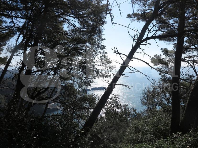 Rustico in Località Zanego 1, Lerici — foto 3 di 5