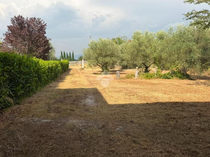 Villa in Via Ss 85 Venafrana, Venafro — foto 2 di 5
