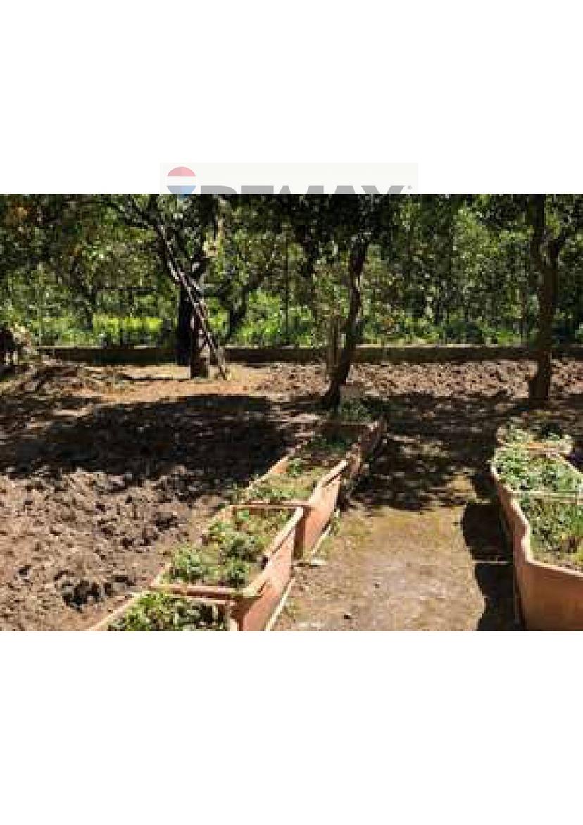Casa indipendente in Via Torrecandele 52, Sant'Agata di Militello — foto 4 di 5