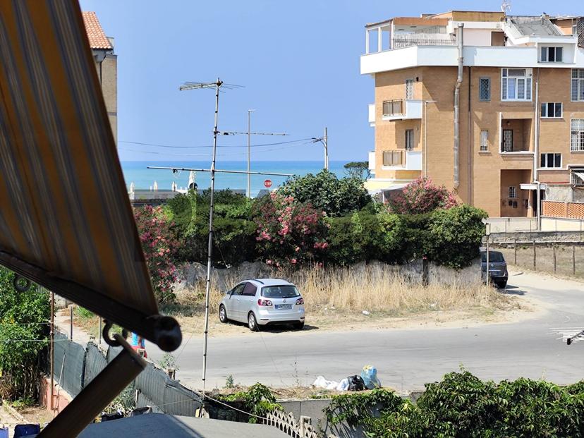 Bilocale, Ardea