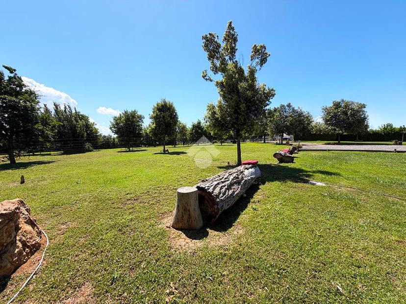 Villa in Strada Vulci, Montalto di Castro — foto 4 di 5