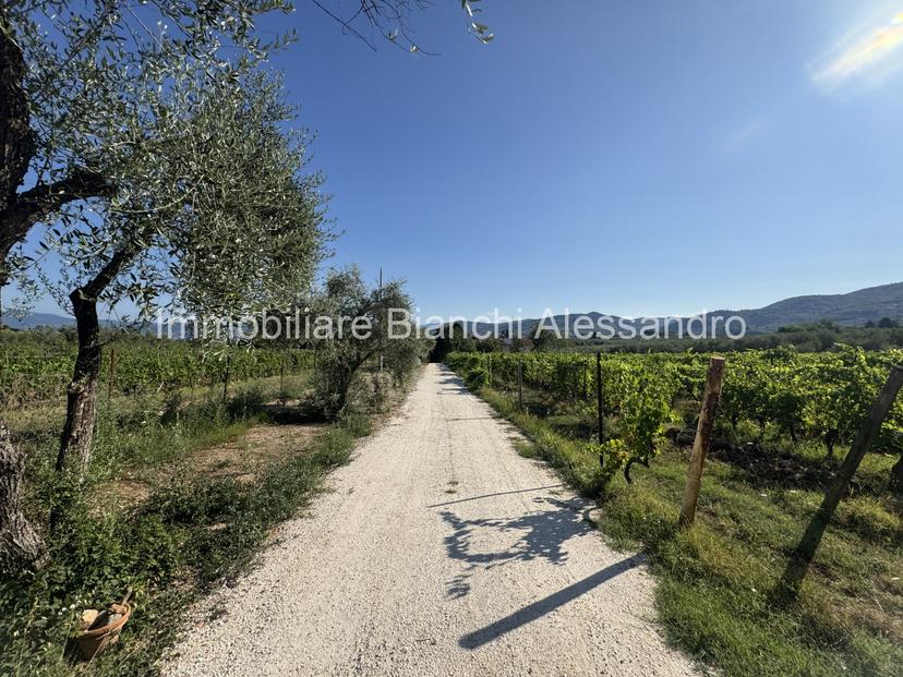 Casa colonica in Via del Cerreto, Bagno a Ripoli — foto 2 di 5