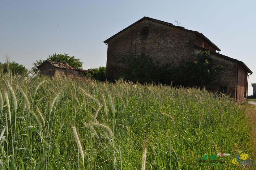 Rustico in Frazione Borgonovo 29, Sissa Trecasali — foto 2 di 5
