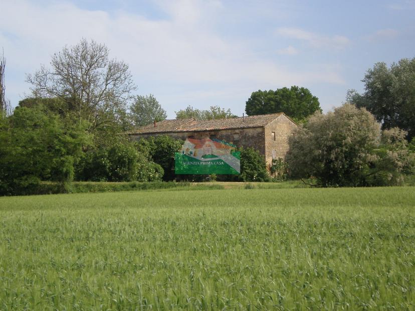 Rustico, Ravenna — foto 5 di 5